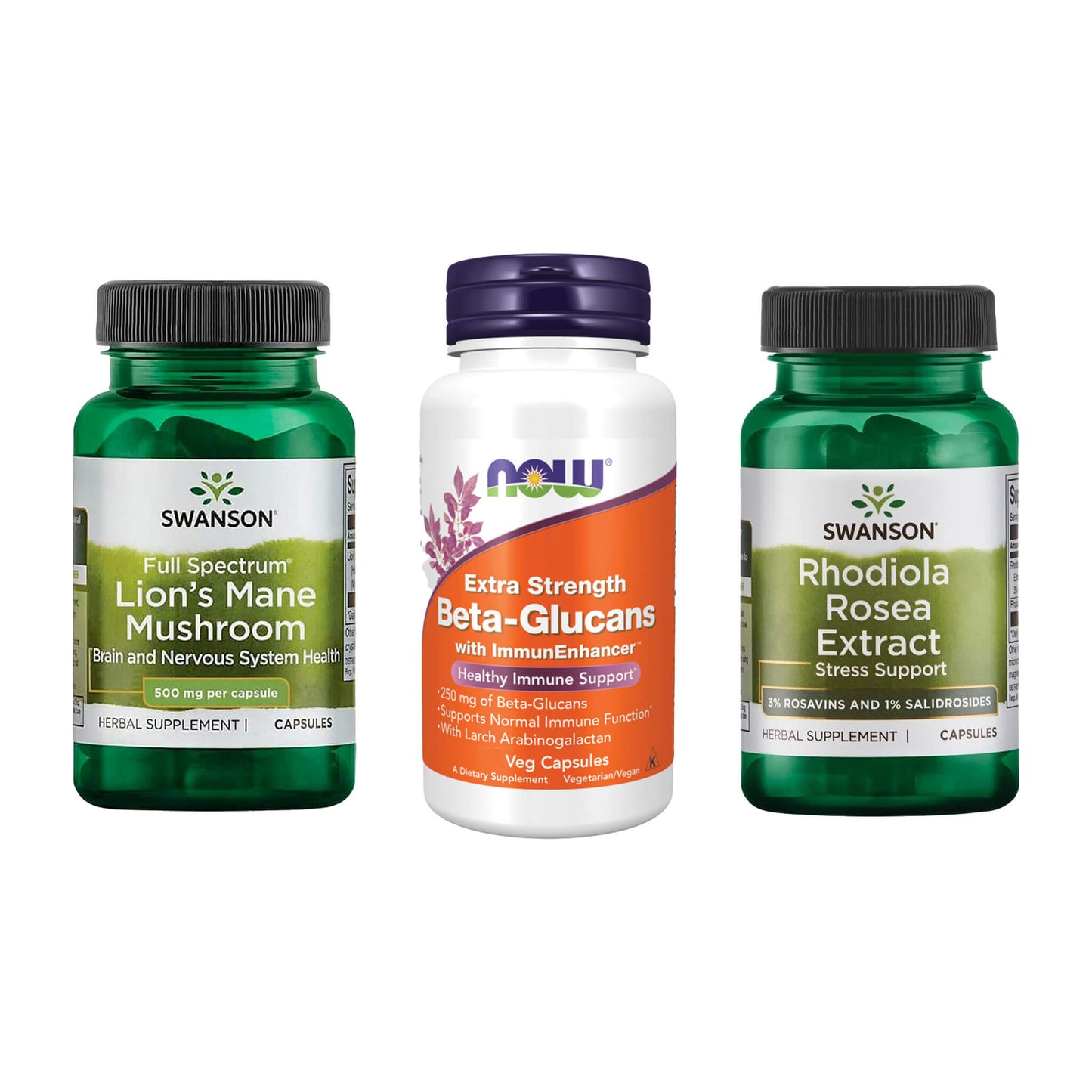 Support Bundle: Focus