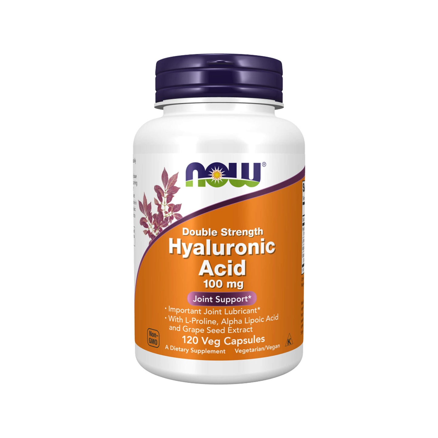 NOW Foods, Hyaluronic Acid, 100mg Double Strength - 120 Veg Capsules