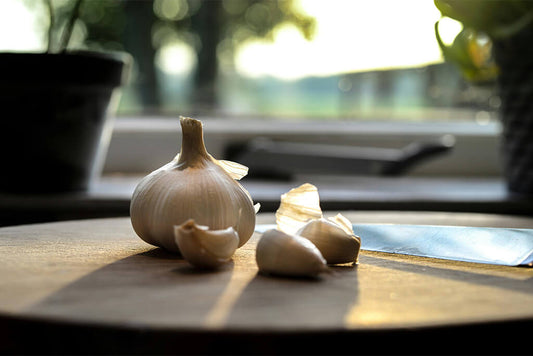 Antibiotic Resistance in the UK: Can Natural Alternatives Offer a Solution?