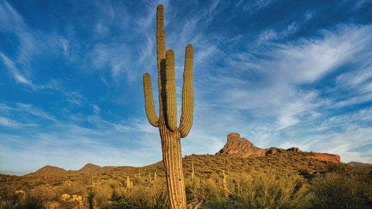 Understanding Erectile Dysfunction: Causes, Diagnosis, and Treatment