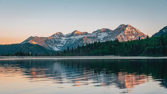 The Importance of Minerals for Optimal Health